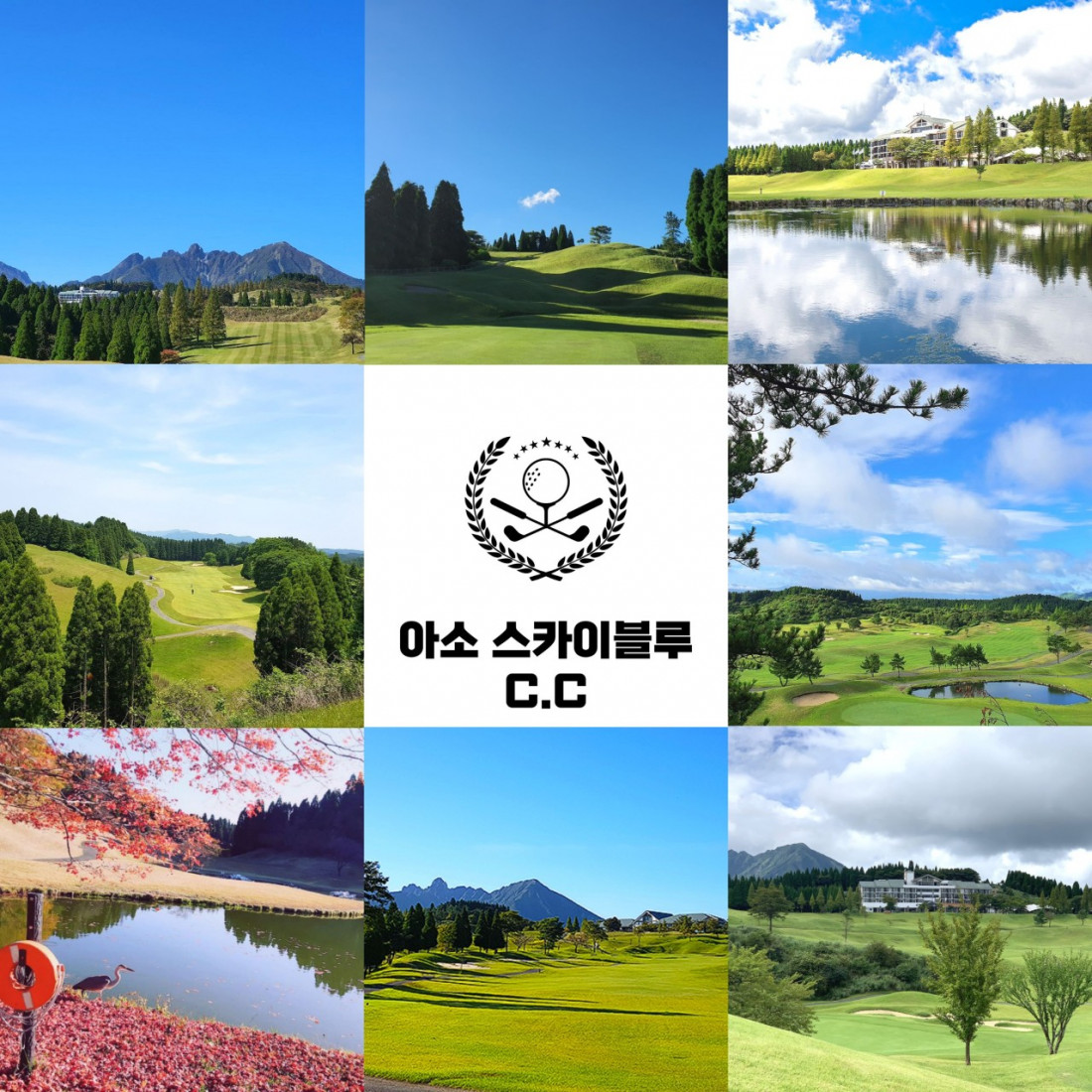 d226afa9c1546cf4df5b297d3d514f02_1786067838_4238.jpg