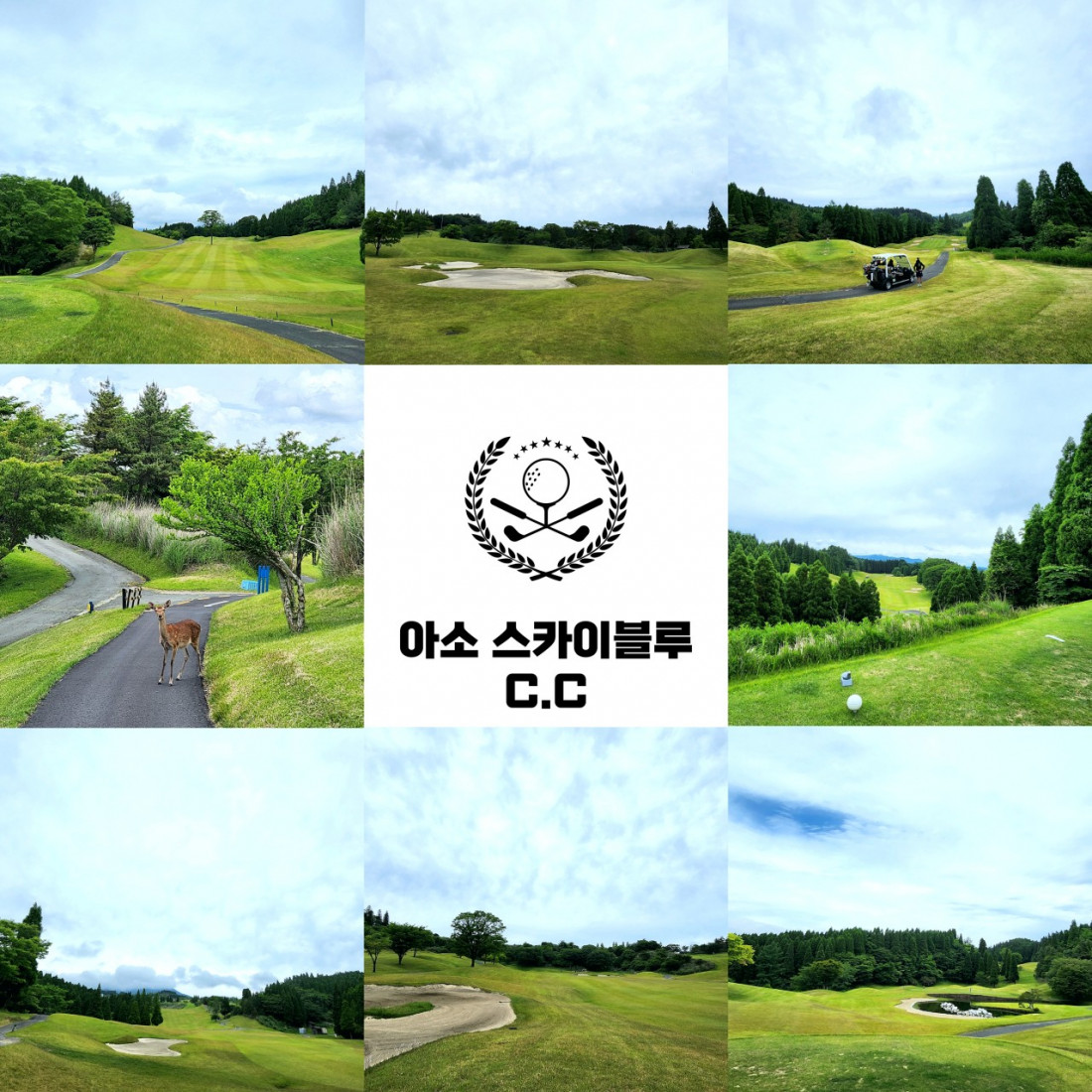d226afa9c1546cf4df5b297d3d514f02_1786067838_7526.jpg
