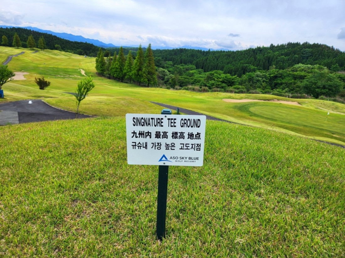 d226afa9c1546cf4df5b297d3d514f02_1786067871_5099.jpg
